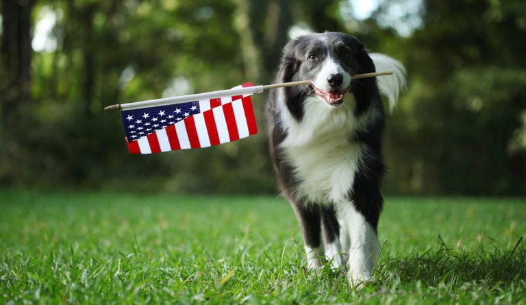 Customer Notice Regarding Coronavirus Precautions