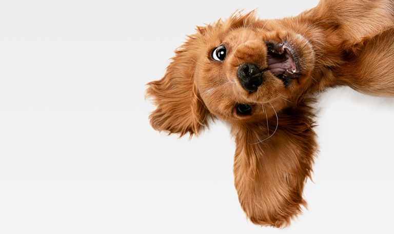 We’re Open for New Customers