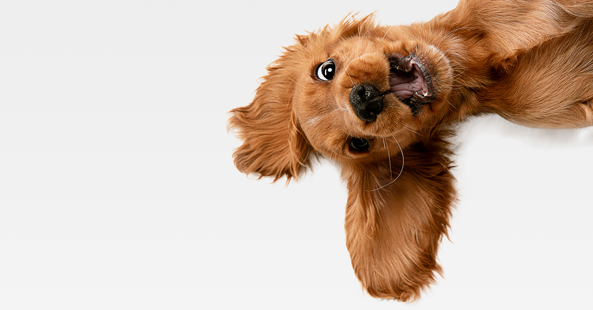 We’re Open for New Customers