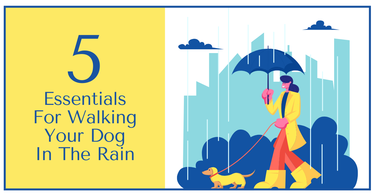 5 Essentials For Walking Your Dog In The Rain