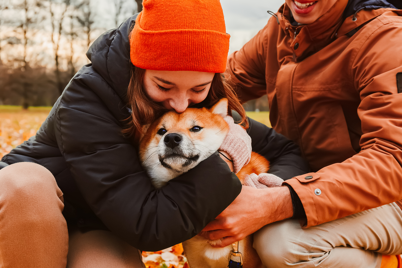 4 Tips for Picking The Right Dog For Your Family with Hillrose Pet Resort