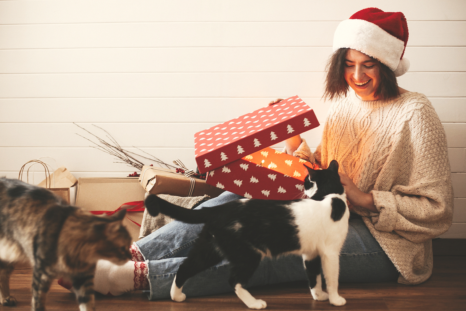 Holiday Gifts for Pets and Their People with Hillrose Pet Resort